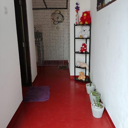 Aloka Home Stay ヌワラ・エリヤ エクステリア 写真