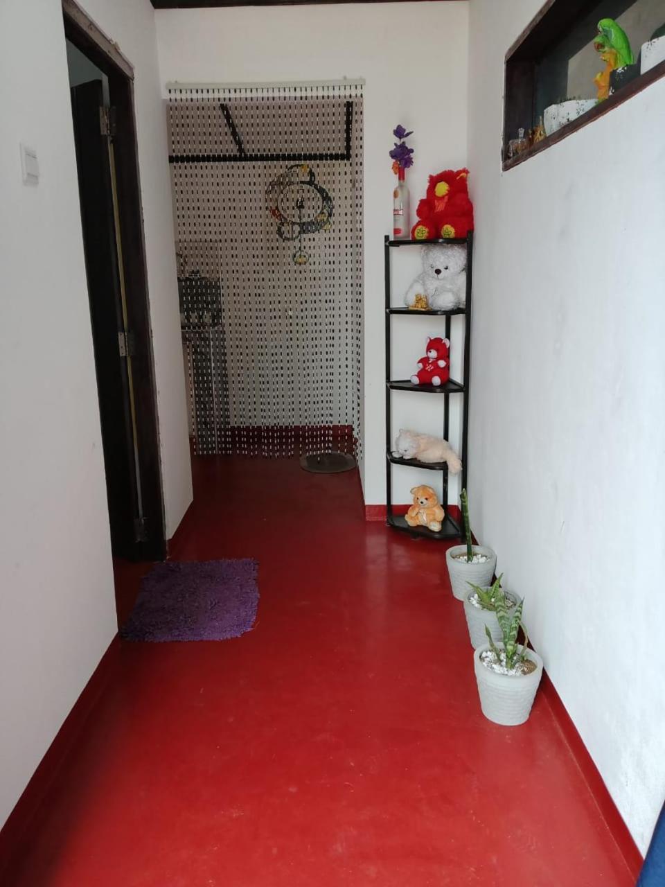 Aloka Home Stay ヌワラ・エリヤ エクステリア 写真