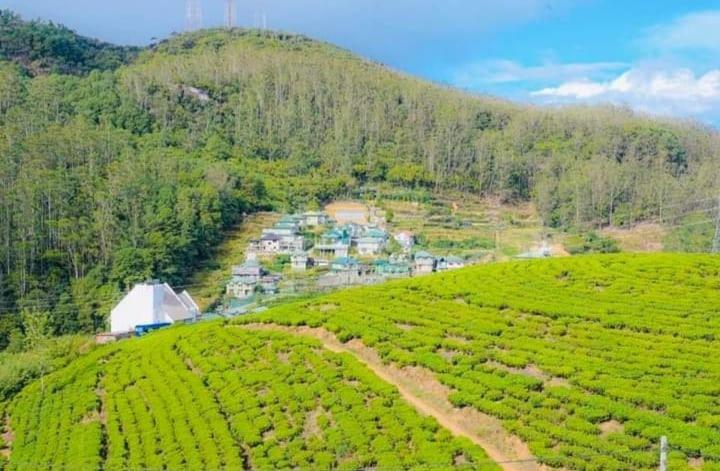 Aloka Home Stay ヌワラ・エリヤ エクステリア 写真
